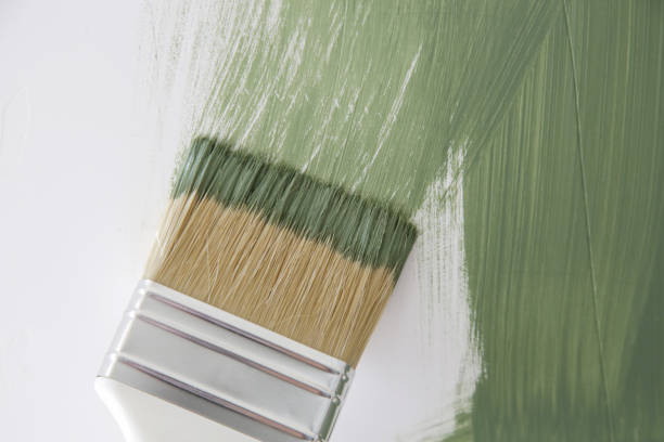 Best Water Damage & Mold Remediation  in Oskaloosa, KS