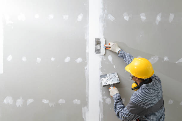 Best Mold Remediation for Healthcare Facilities  in Oskaloosa, KS