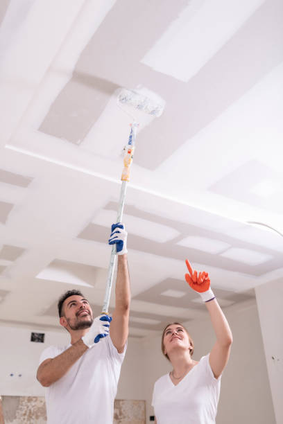 Best Mold Documentation for Insurance Claims  in Oskaloosa, KS