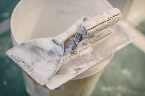 Best Mold Damage Restoration  in Oskaloosa, KS